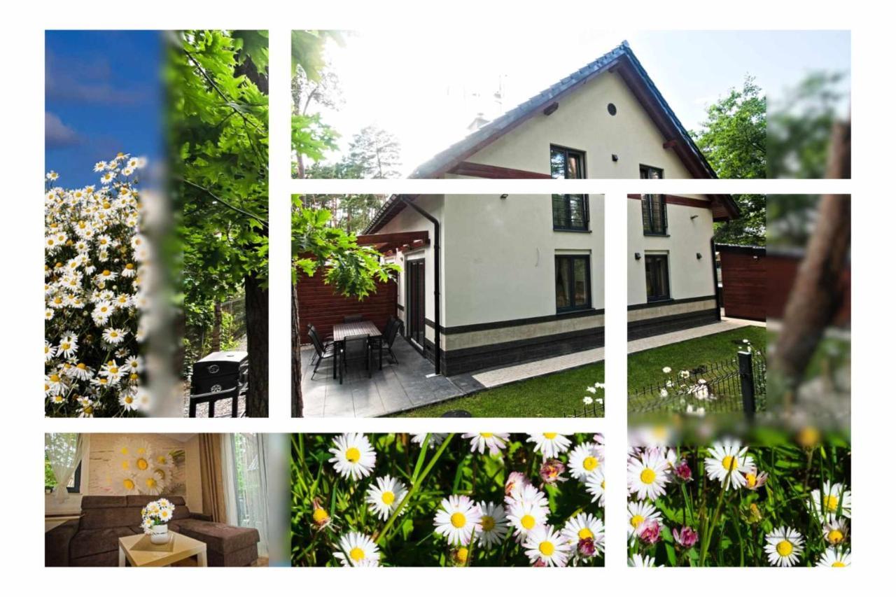 Daisy - Sunny Flowers Apartments Lukecin Exterior foto